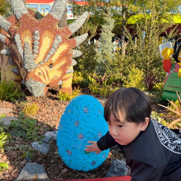 レゴランドのレゴブロックボタンを押す4歳の子供