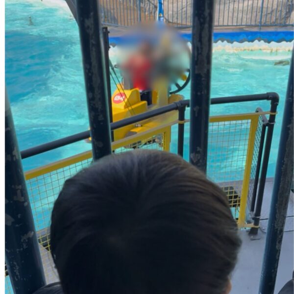 レゴランドのスクイッドサーフィンを眺める4歳の子供