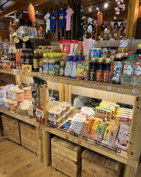 キャンプ・アンド・キャビンズ山中湖4歳子連れキャビン焚き火レビュー