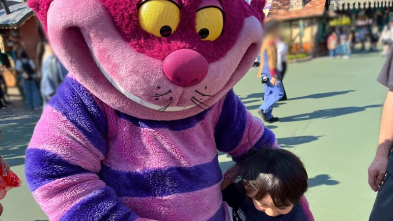 4歳男の子と行く子連れディズニーランドのリアルなタイムスケジュール グリーティング