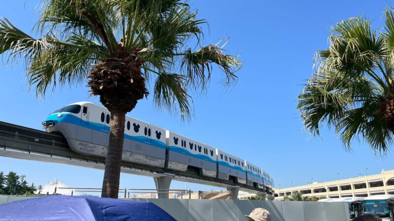 4歳男の子と行く子連れディズニーランドのリアルなタイムスケジュール入園待ち