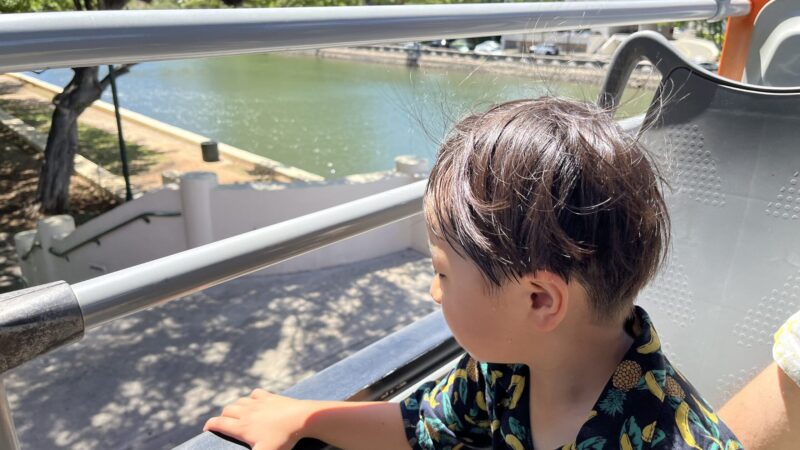 ハワイ4泊6日大人5人子供2人11のスケジュールを大公開(観光なしでのんびり)