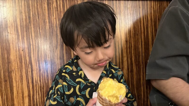 ハワイ4泊6日大人5人子供2人11のスケジュールを大公開(観光なしでのんびり)