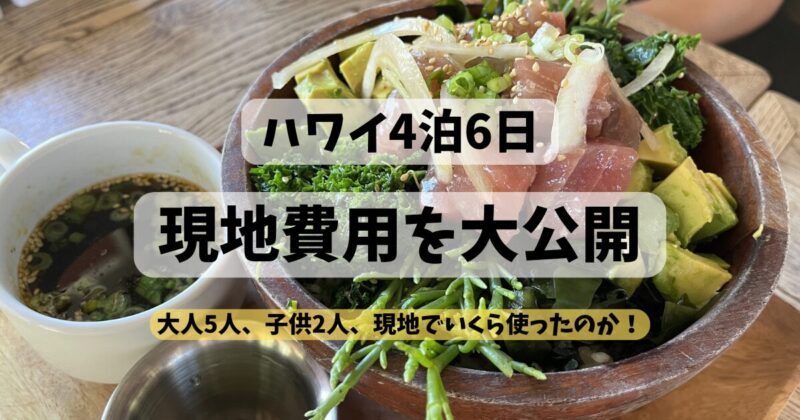 ハワイ4泊6日大人5人子供2人の現地費用を大公開