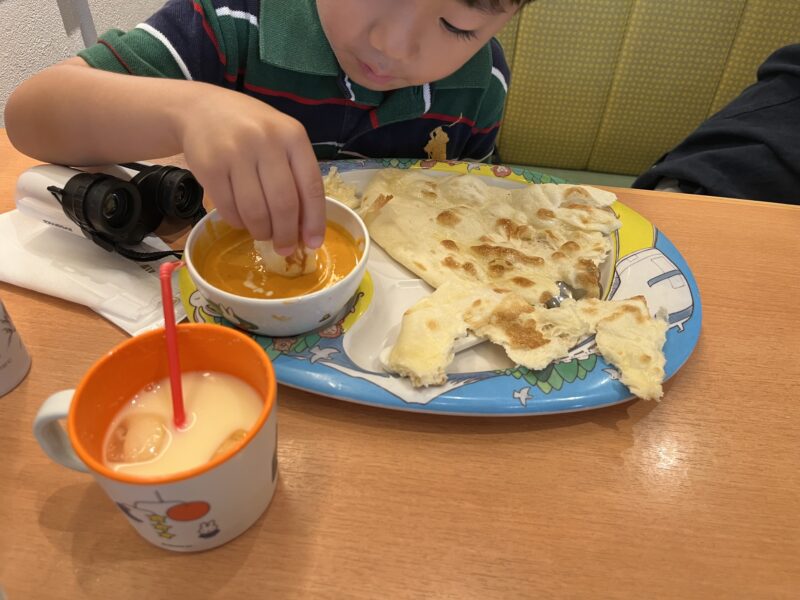 子連れ劇団四季ライオンキングレビュー。C席最後列端っこの見え方や事前にやってよかったこと/有明ガーデンでお昼