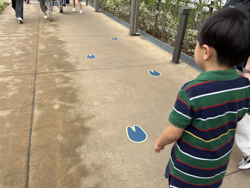 子連れ劇団四季ライオンキングレビュー。C席最後列端っこの見え方や事前にやってよかったこと