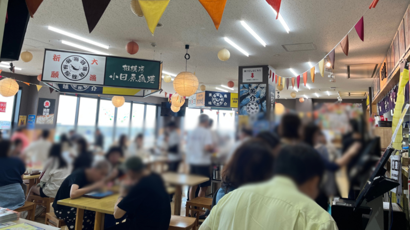 小田原子連れ日帰りタイムスケジュール！TOTOCO・生命の星・鈴廣かまぼこ博物館
