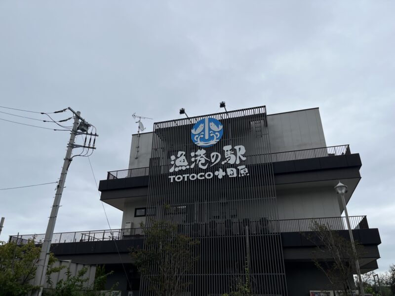 小田原子連れ日帰りタイムスケジュール！TOTOCO・生命の星・鈴廣かまぼこ博物館