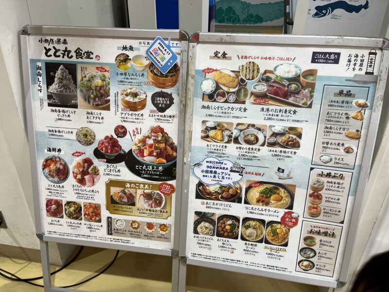 小田原子連れ日帰りタイムスケジュール！TOTOCO・生命の星・鈴廣かまぼこ博物館