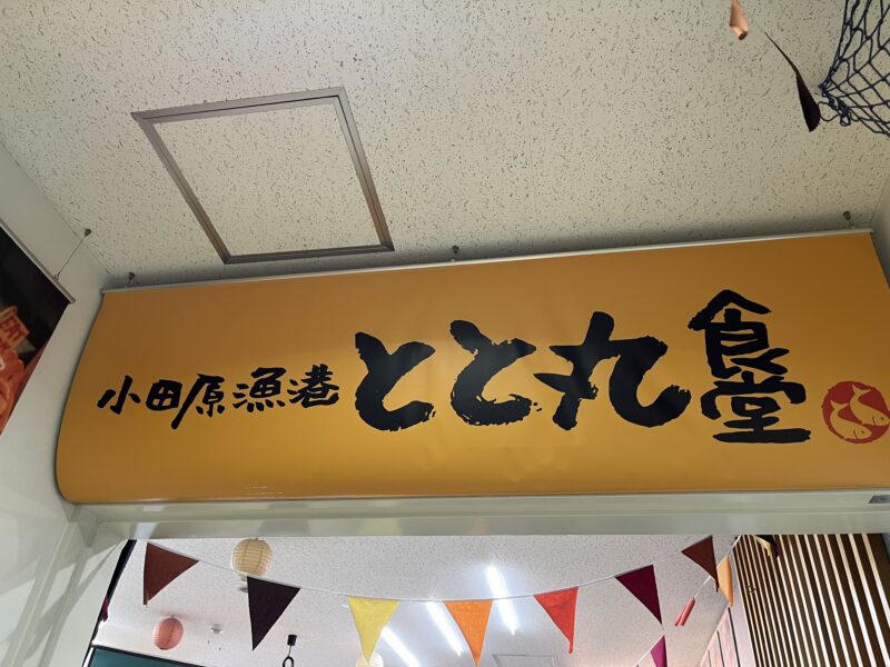 小田原子連れ日帰りタイムスケジュール！TOTOCO・生命の星・鈴廣かまぼこ博物館