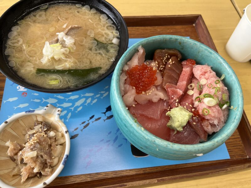 小田原子連れ日帰りタイムスケジュール！TOTOCO・生命の星・鈴廣かまぼこ博物館