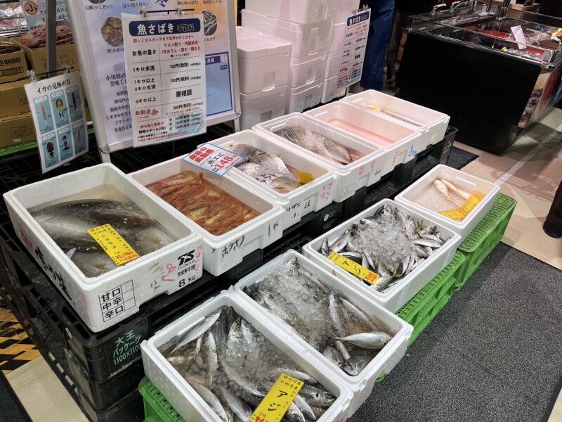 小田原子連れ日帰りタイムスケジュール！TOTOCO・生命の星・鈴廣かまぼこ博物館