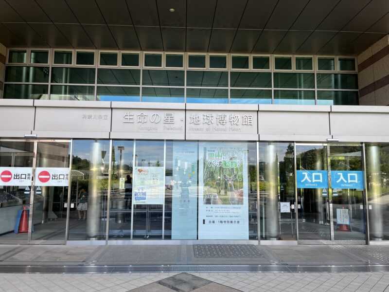 小田原子連れ日帰りタイムスケジュール！TOTOCO・生命の星・鈴廣かまぼこ博物館
