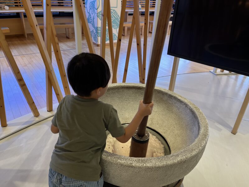 小田原子連れ日帰りタイムスケジュール！TOTOCO・生命の星・鈴廣かまぼこ博物館